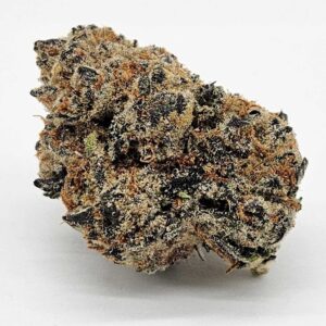 CADILLAC RAINBOWS (GP) - INDICA