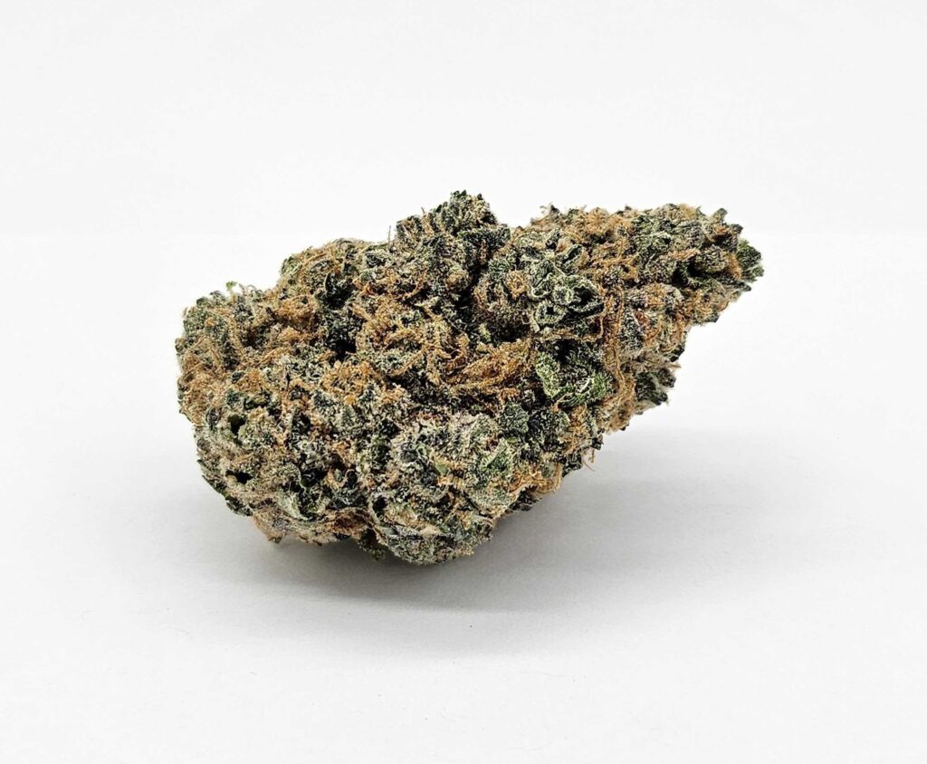 GARY EYES (GP FARMS) - INDICA