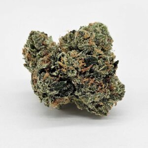HEADLINE (GP) - INDICA