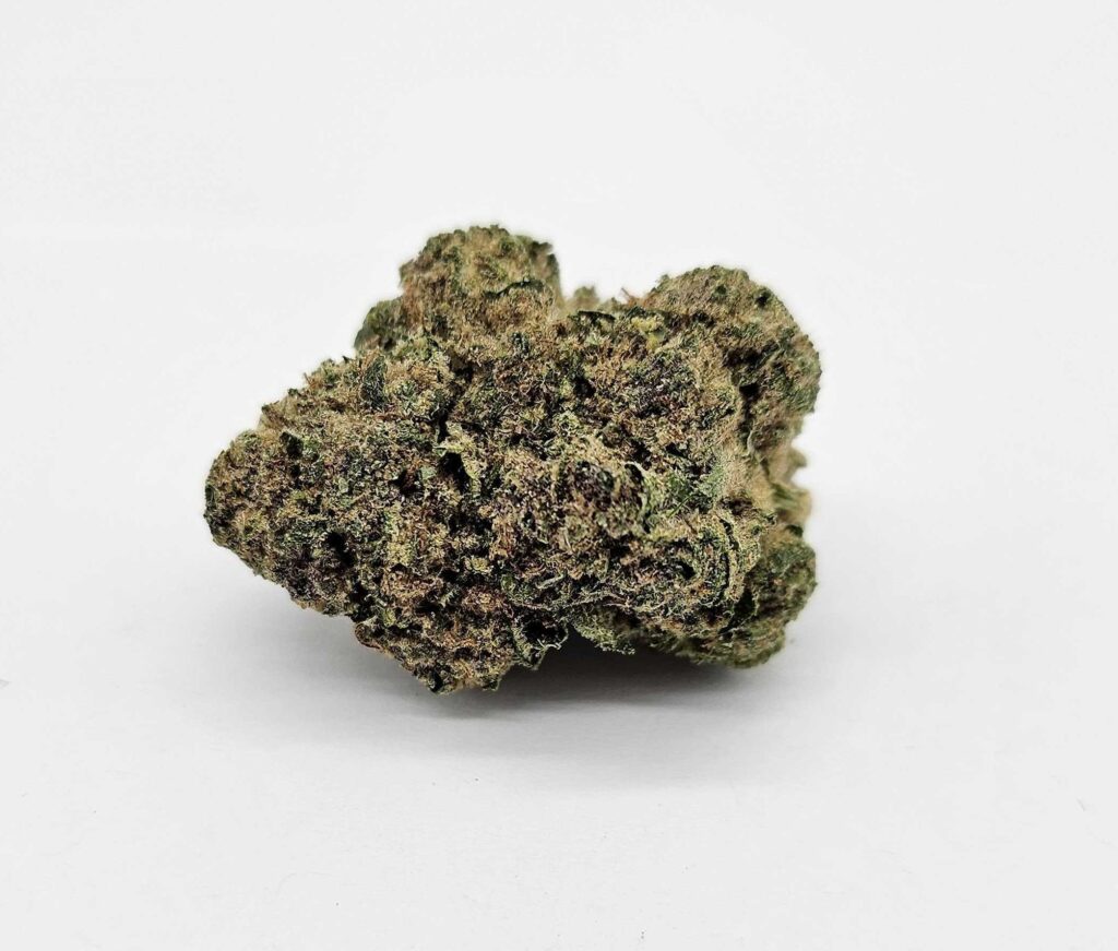 OD SUPER BOOF (Williams Wonder) - HYBRID