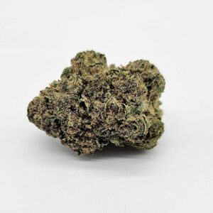 OD SUPER BOOF (Williams Wonder) - HYBRID