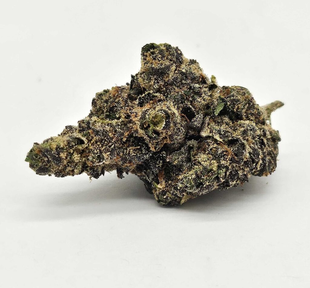 PINK RUNTZ (GP) - HYBRID