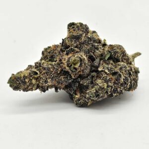 PINK RUNTZ (GP) - HYBRID