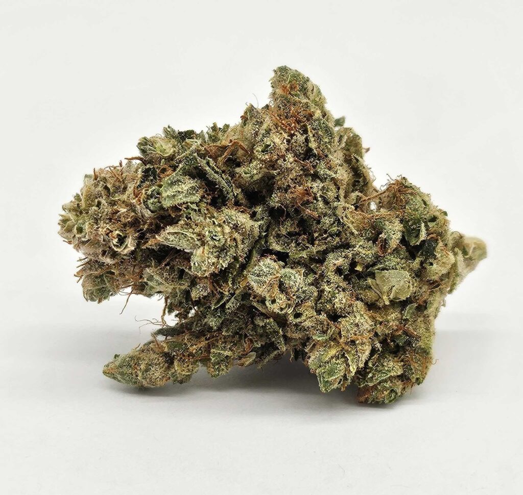 STAR DAWG (GP) - SATIVA