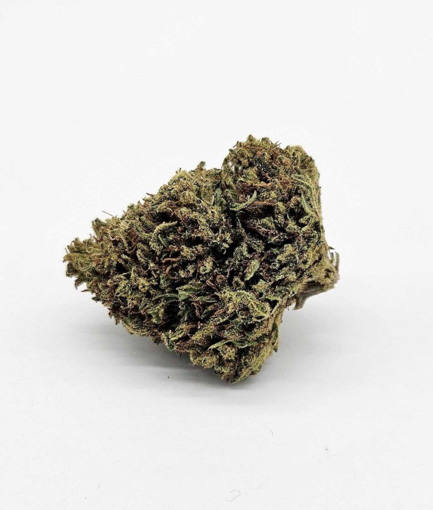 OD CAPRI SKUNK (TRELLIS FARMS) - HYBRID
