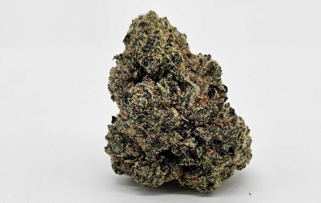 LA BAKER (AVITAS) - INDICA