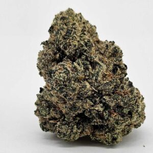 LA BAKER (AVITAS) - INDICA