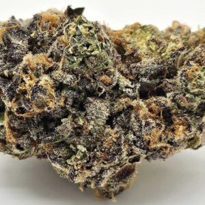 THE GREEN PLANET | PURPLE CHROME (GP) - INDICA