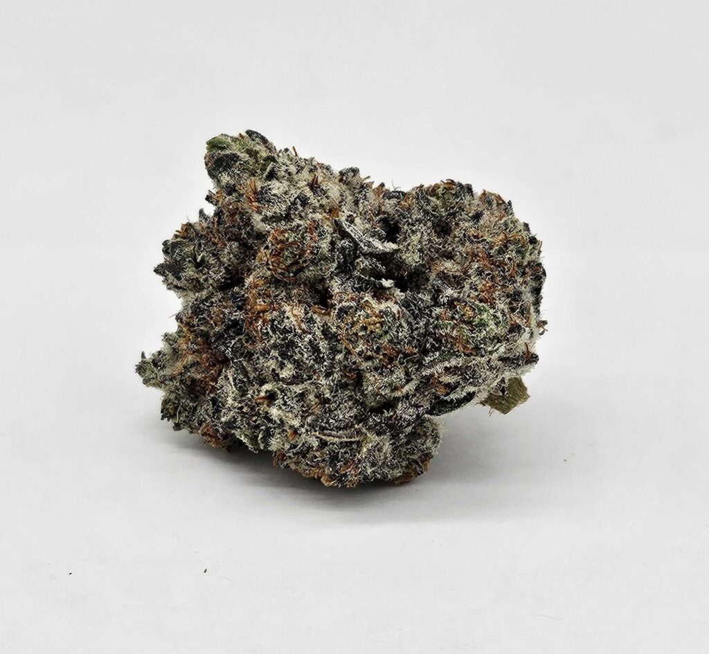 HONEY BUN (GP FARMS) - HYBRID