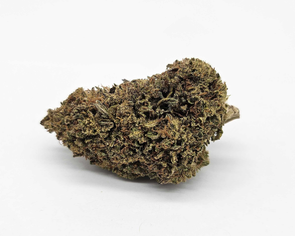 OD ALOHA JACK (TRELLIS FARMS) - SATIVA