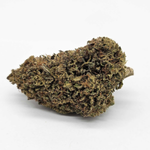 OD ALOHA JACK (TRELLIS FARMS) - SATIVA