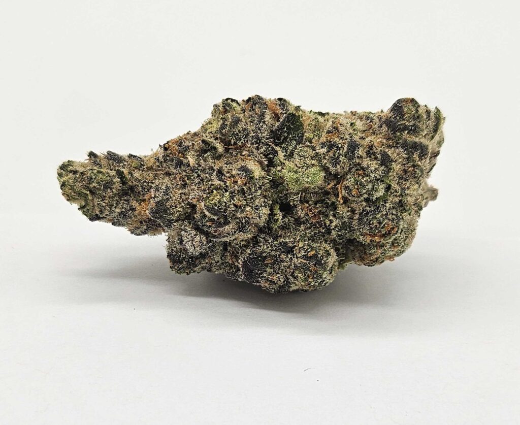 ZUYAQUI (GP) - INDICA