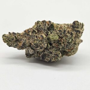 THE GREEN PLANET | ZUYAQUI (GP) - INDICA