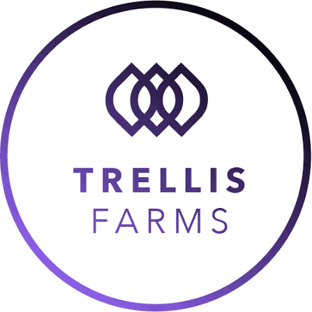 OD GORILLA BUTTER (TRELLIS FARMS) - INDICA