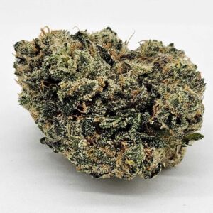 MOTOR BOW (GP) - INDICA