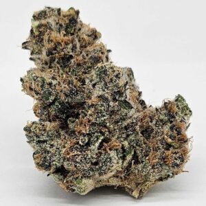 SUPER BOOF (GP FARMS) - HYBRID