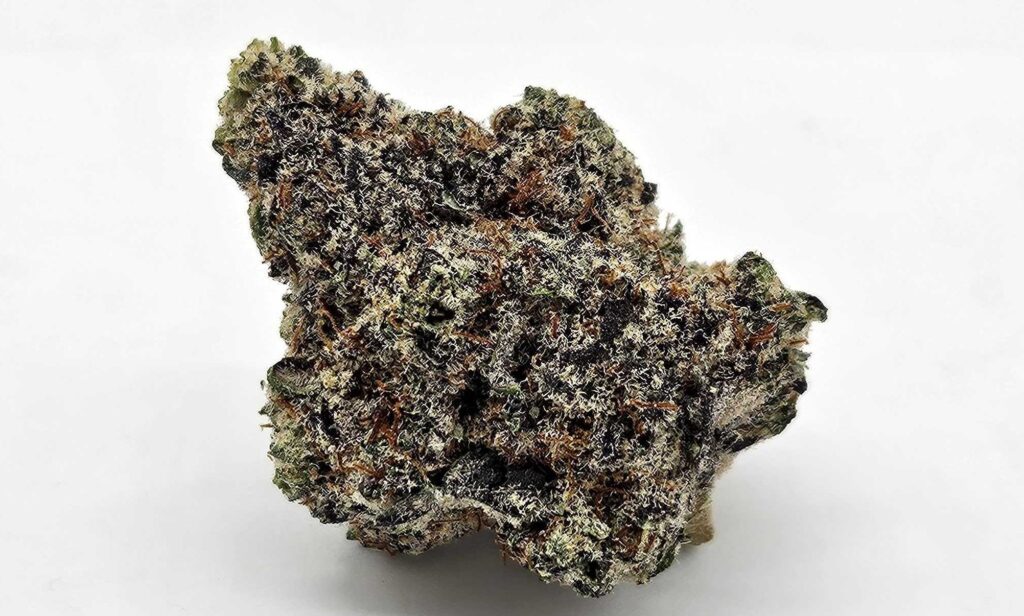 SLAYBERRY (MERAKI) - HYBRID