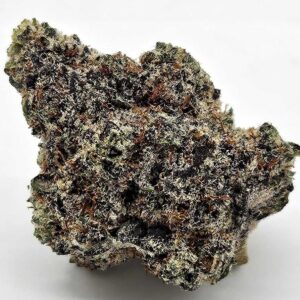 SLAYBERRY (MERAKI) - HYBRID