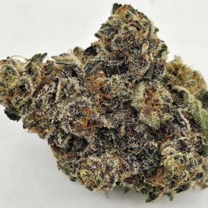 BANANA BREEZE (GP) - HYBRID