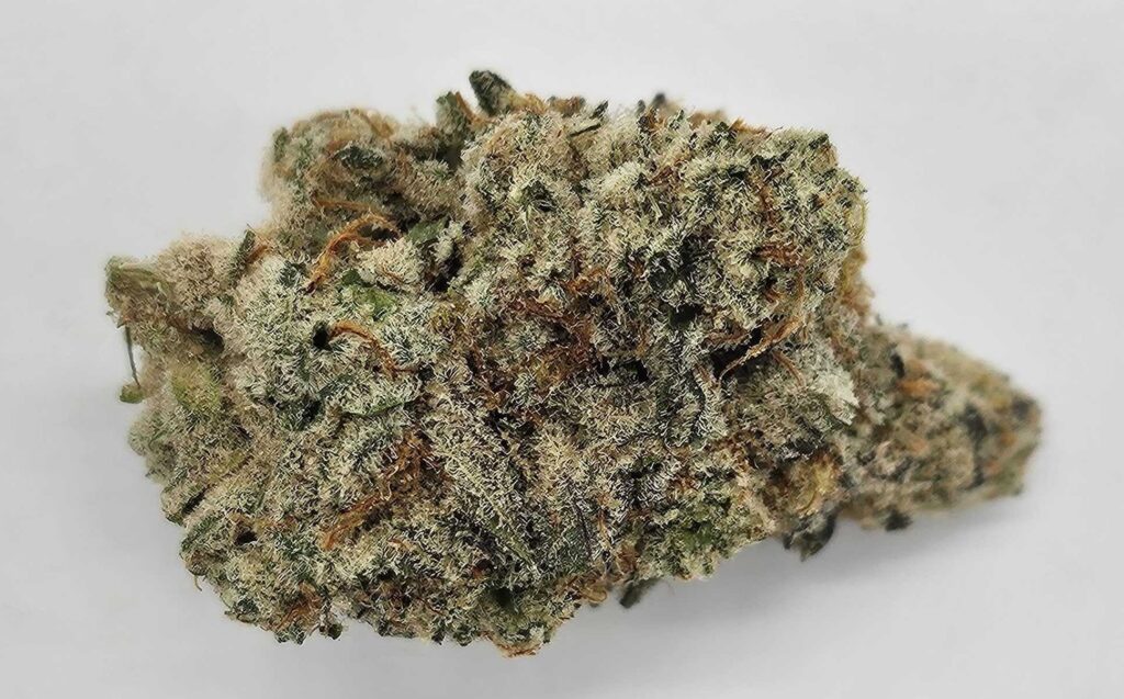 CAP JUNKY (GP) - HYBRID