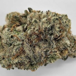 THE GREEN PLANET | CAP JUNKY (GP) - HYBRID