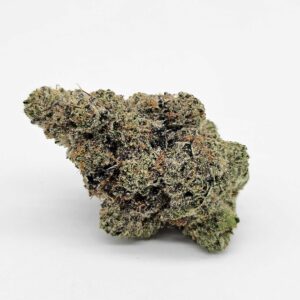 BANANACONDA (MERAKI) - HYBRID