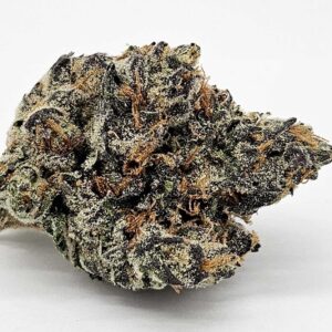 CLARK GRISWOLD (GP FARMS) - INDICA