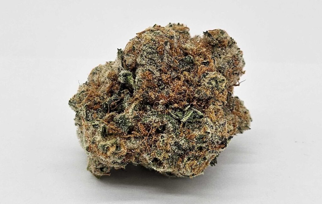 EGO CHECKER (GP FARMS) - INDICA HYBRID