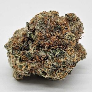 EGO CHECKER (GP FARMS) - INDICA HYBRID
