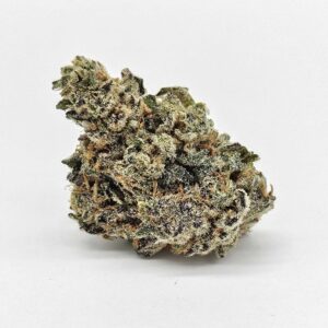 GP FARMS GREEN CREST (GP) - HYBRID